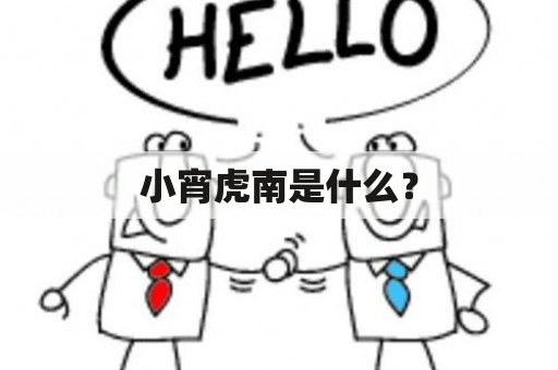 小宵虎南是什么？