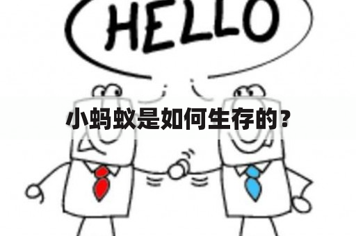 小蚂蚁是如何生存的？