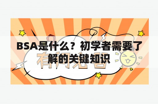 BSA是什么？初学者需要了解的关键知识