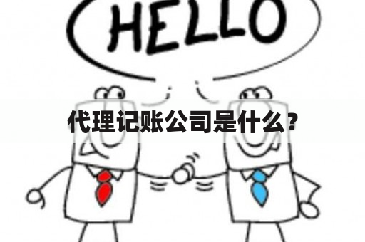 代理记账公司是什么？