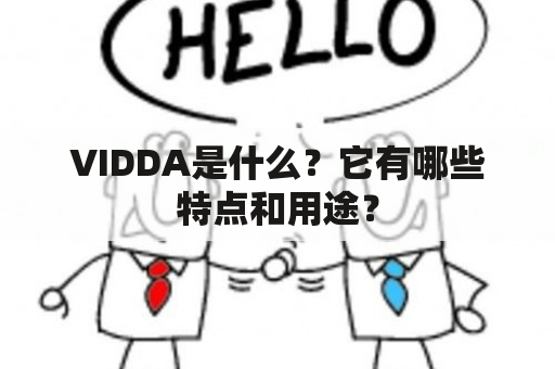 VIDDA是什么？它有哪些特点和用途？