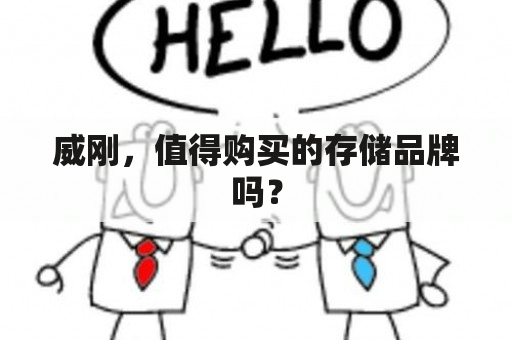 威刚，值得购买的存储品牌吗？