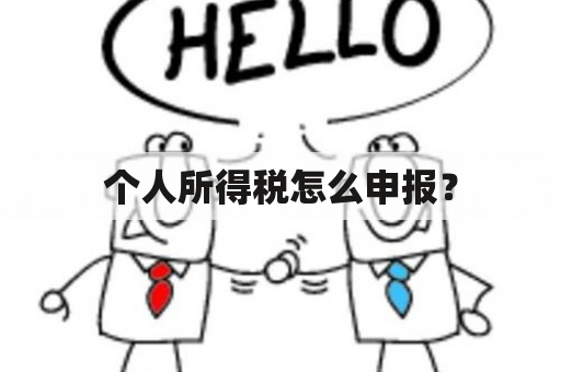 个人所得税怎么申报？