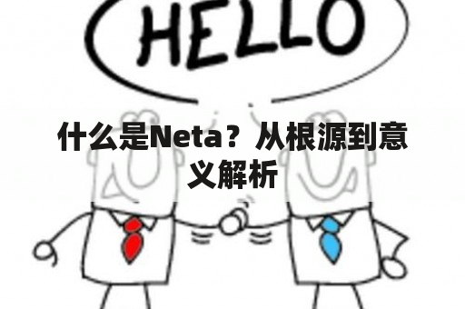 什么是Neta？从根源到意义解析