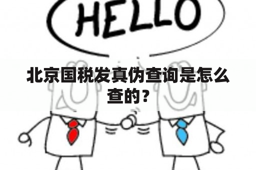 北京国税发真伪查询是怎么查的？