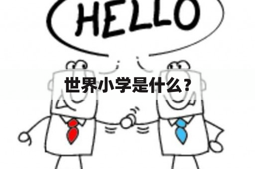 世界小学是什么？