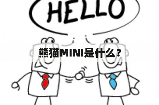 熊猫MINI是什么？