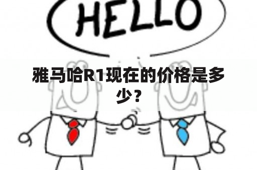 雅马哈R1现在的价格是多少？