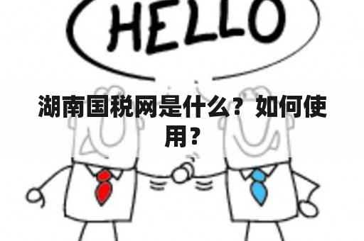 湖南国税网是什么？如何使用？