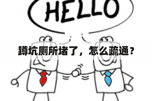 蹲坑厕所堵了，怎么疏通？