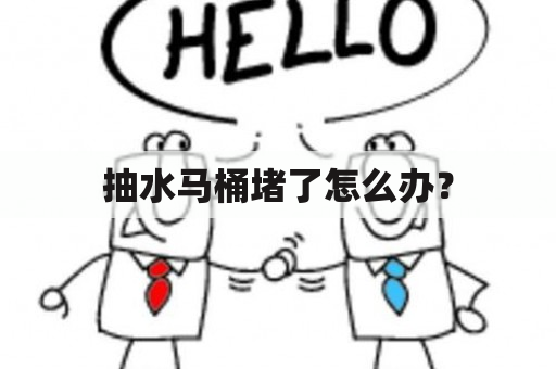 抽水马桶堵了怎么办？