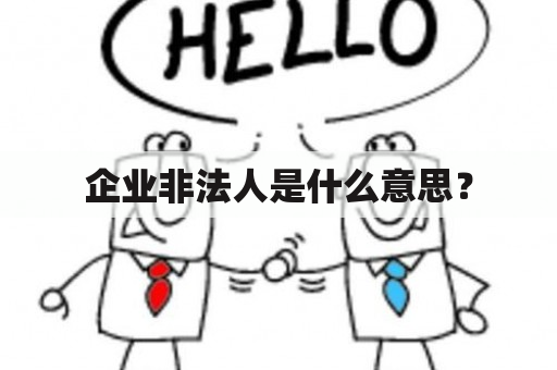 企业非法人是什么意思？