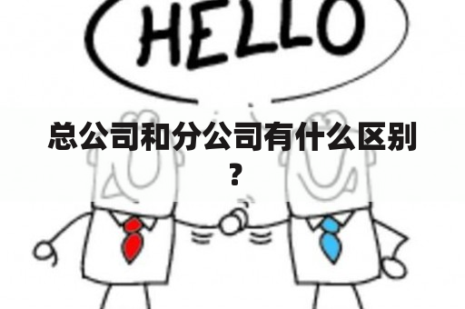 总公司和分公司有什么区别？