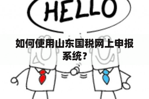 如何使用山东国税网上申报系统？