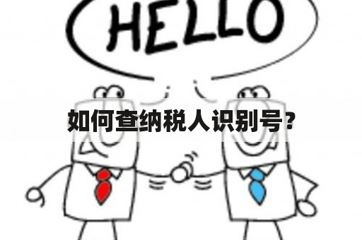 如何查纳税人识别号？