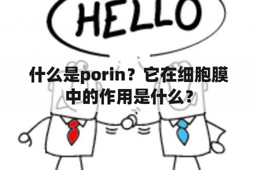 什么是porin？它在细胞膜中的作用是什么？