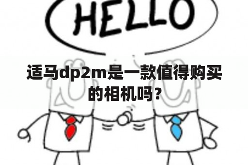 适马dp2m是一款值得购买的相机吗？