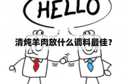 清炖羊肉放什么调料最佳？