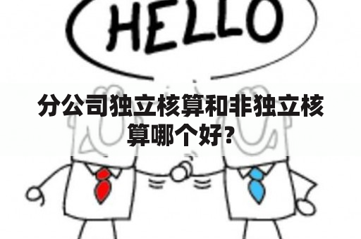 分公司独立核算和非独立核算哪个好？