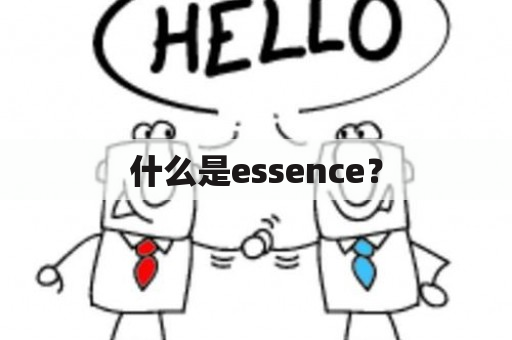 什么是essence？