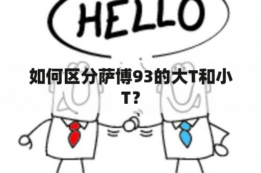 如何区分萨博93的大T和小T？