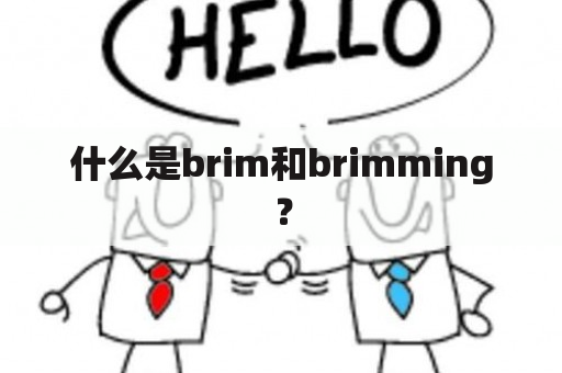 什么是brim和brimming？