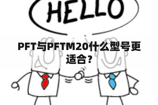 PFT与PFTM20什么型号更适合？