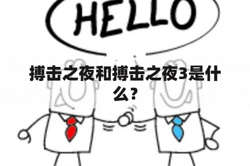 搏击之夜和搏击之夜3是什么？