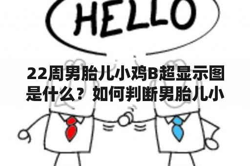 22周男胎儿小鸡B超显示图是什么？如何判断男胎儿小鸡B超显示图的准确性？