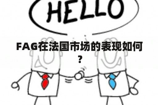 FAG在法国市场的表现如何？