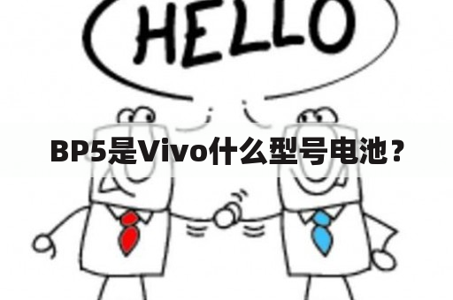 BP5是Vivo什么型号电池？