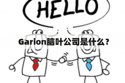  Garion脑叶公司是什么？