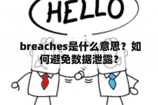  breaches是什么意思？如何避免数据泄露？