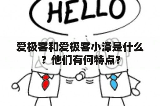 爱极客和爱极客小泽是什么？他们有何特点？