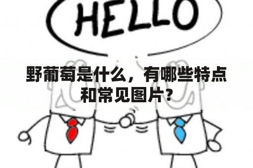 野葡萄是什么，有哪些特点和常见图片？