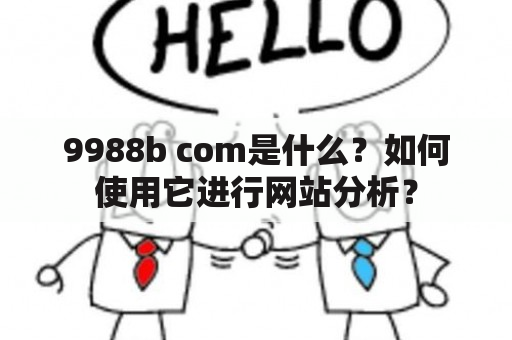 9988b com是什么？如何使用它进行网站分析？