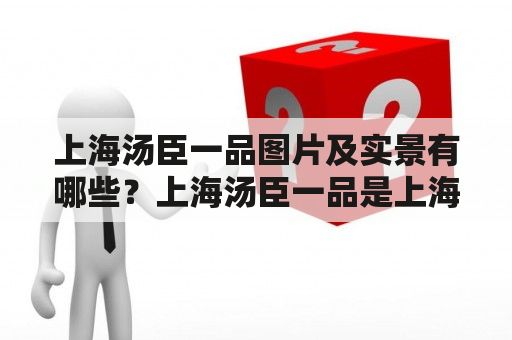 上海汤臣一品图片及实景有哪些？上海汤臣一品是上海著名的高端住宅小区之一，其美丽的建筑外观和优美的园林景观吸引了无数人的目光。以下是我为大家整理的上海汤臣一品的图片及实景介绍。