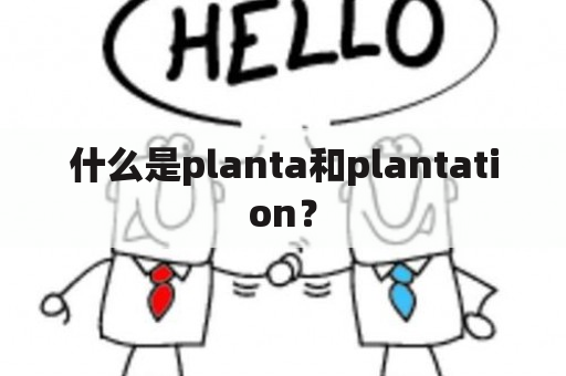 什么是planta和plantation？