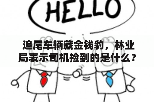  追尾车辆藏金钱豹，林业局表示司机捡到的是什么？