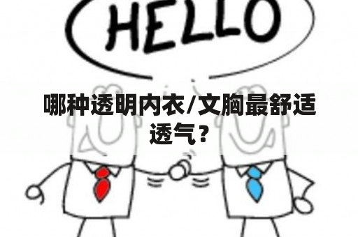 哪种透明内衣/文胸最舒适透气？