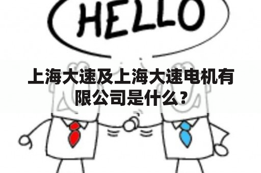 上海大速及上海大速电机有限公司是什么？