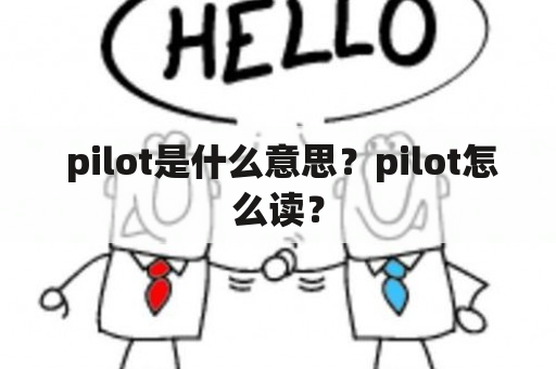  pilot是什么意思？pilot怎么读？