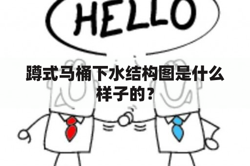 蹲式马桶下水结构图是什么样子的？