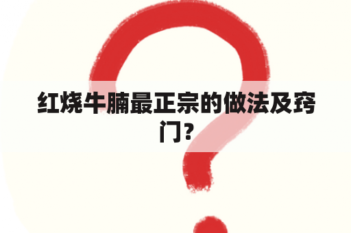 红烧牛腩最正宗的做法及窍门？