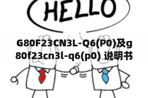 G80F23CN3L-Q6(P0)及g80f23cn3l-q6(p0) 说明书应该如何使用？