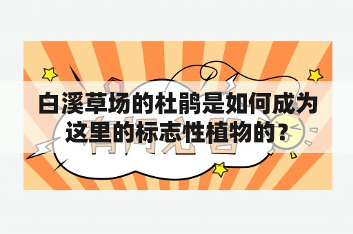 白溪草场的杜鹃是如何成为这里的标志性植物的？