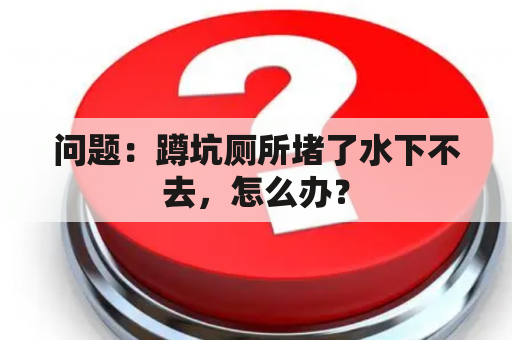 问题：蹲坑厕所堵了水下不去，怎么办？