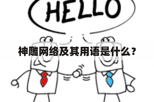 神雕网络及其用语是什么？