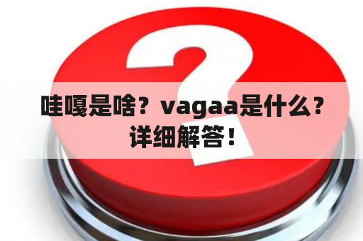 哇嘎是啥？vagaa是什么？详细解答！