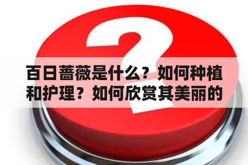 百日蔷薇是什么？如何种植和护理？如何欣赏其美丽的花朵？